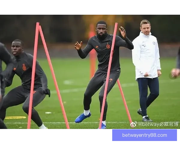 必威体育如何登录详细步骤及常见问题解决方案解析