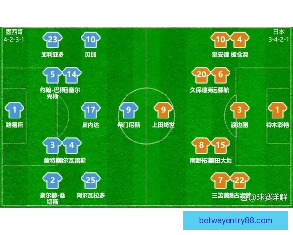2026世界杯参赛国家全解析及赛事展望指南